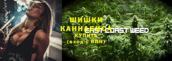 стаф Няндома