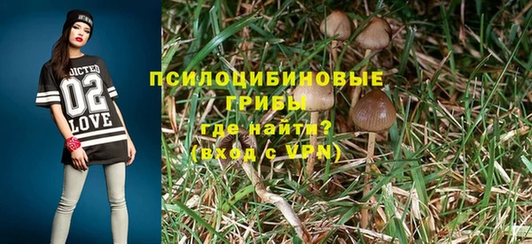 крисы Алексеевка