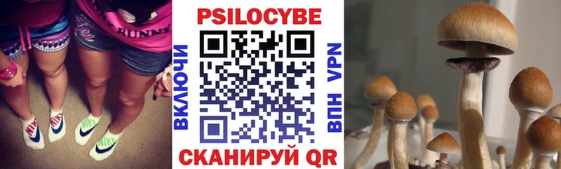 наркотики  Динская  Псилоцибиновые грибы мухоморы 