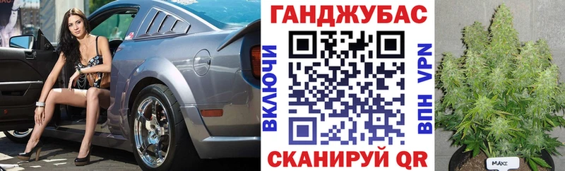 где купить наркоту  Динская  kraken онион  Каннабис индика 
